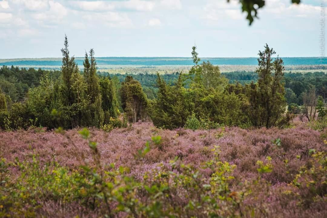Ferienwohnung Ram 1 Hermannsburg Buitenkant foto